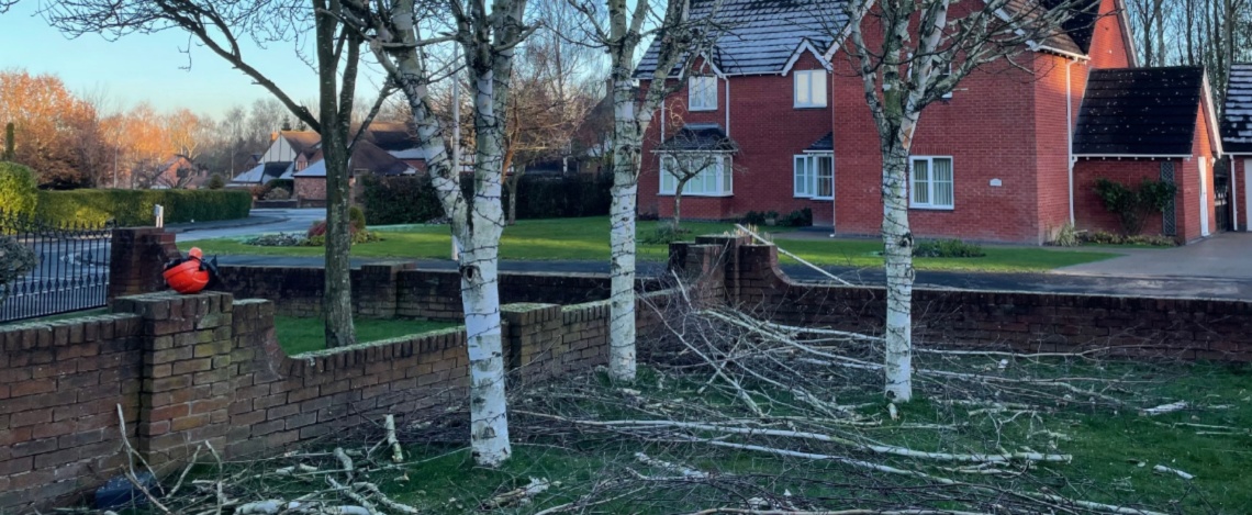 Garden Clearance - clear overgrown lawns and gardens - Cotswolds - Garden Clearance