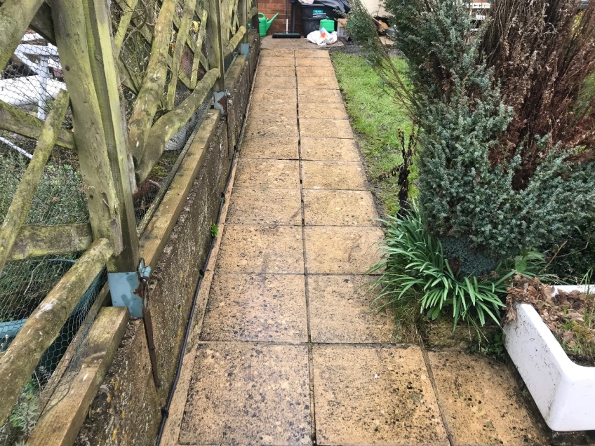 Patio & Path Cleaning -