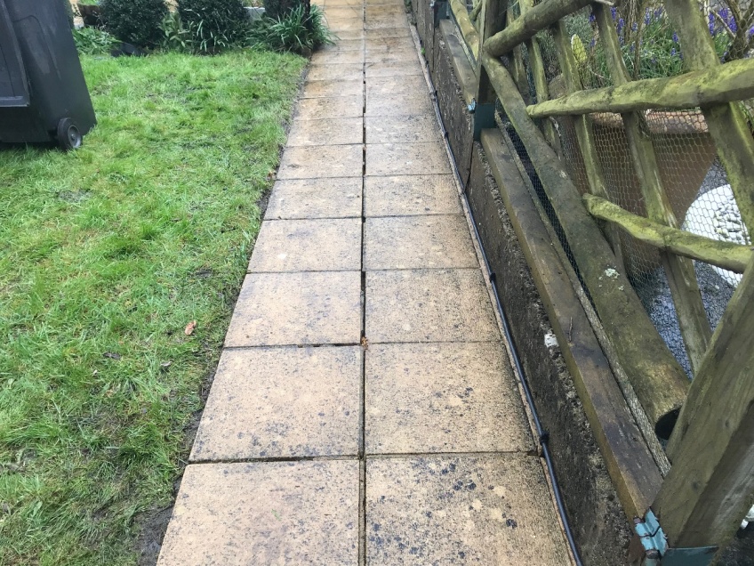 Patio & Path Cleaning -