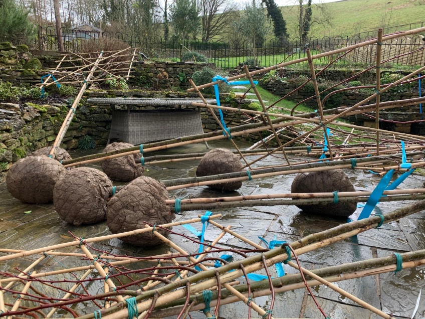 Planting Pleached Beech Trees - Snowshill -