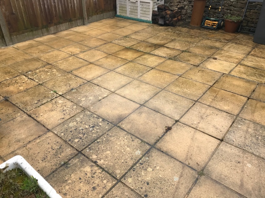 Patio & Path Cleaning -