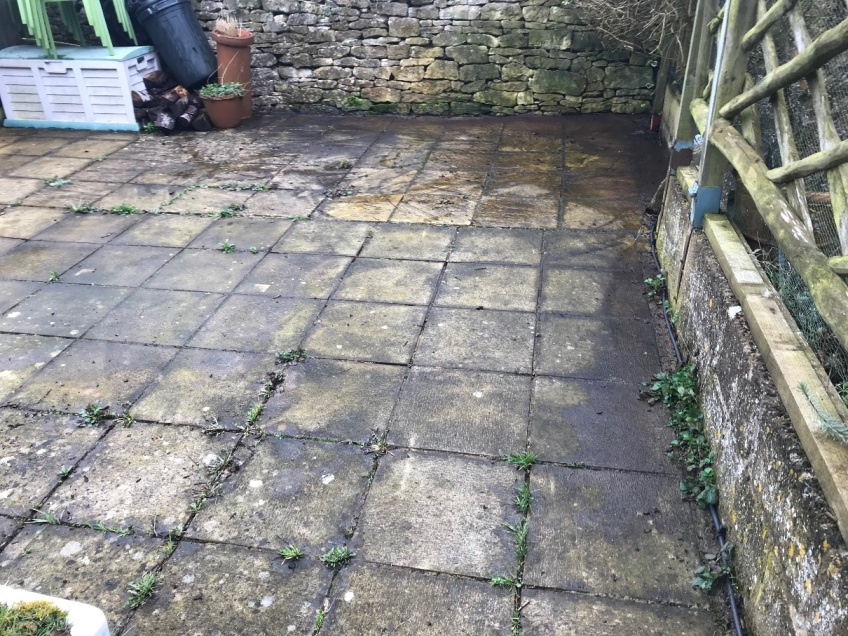 Patio & Path Cleaning -