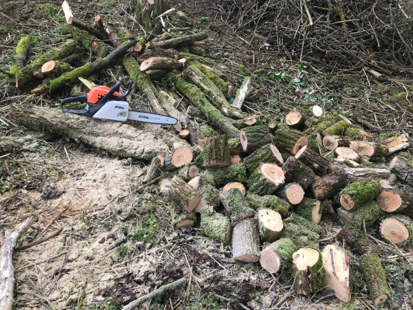 Tree Felling & Clearance -