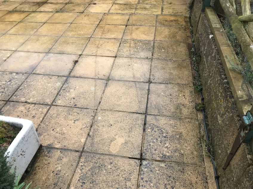 Patio & Path Cleaning -
