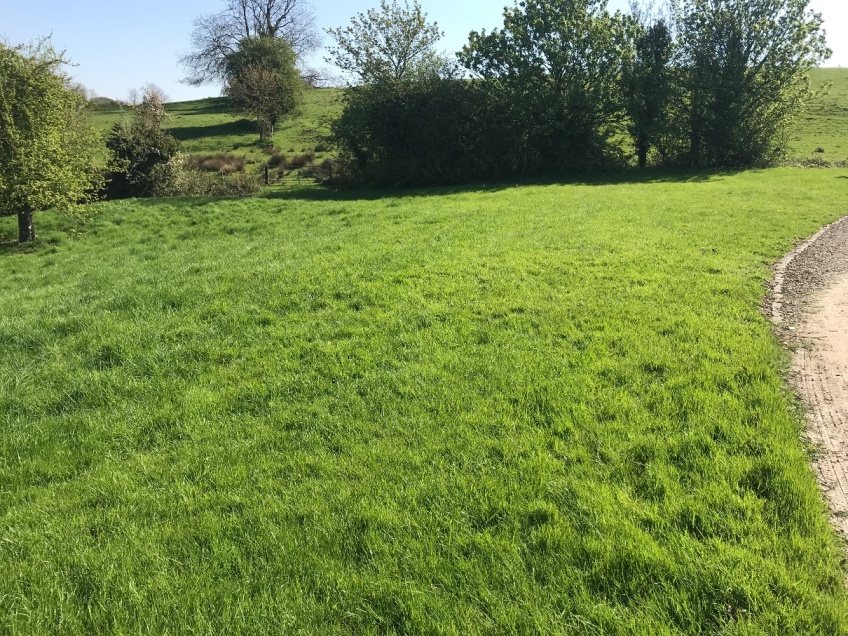 Lawn Cutting - Bourton-on-the-Hill -