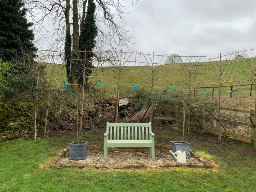 Planting Pleached Beech Trees - Snowshill -